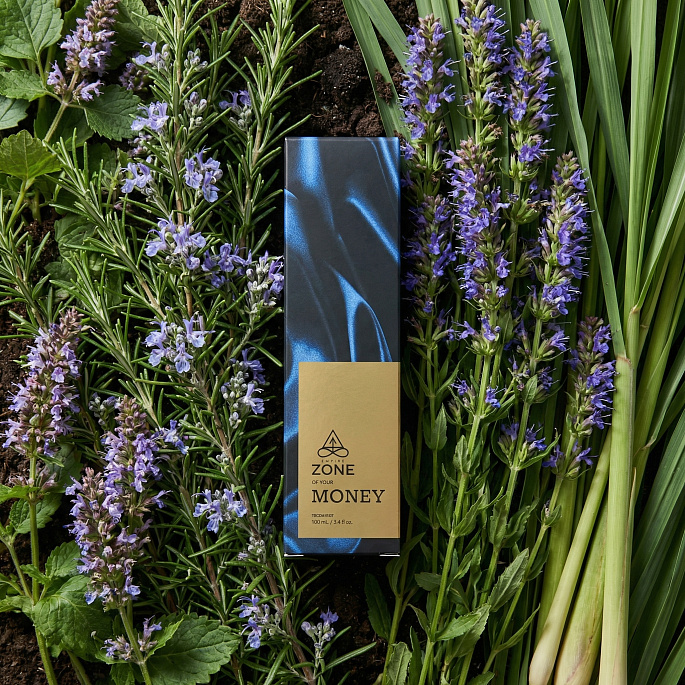 картинка Гидролат Empire Zone of your Money от Zone