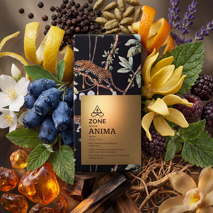 картинка Духи Empire Zone of your Anima от Zone