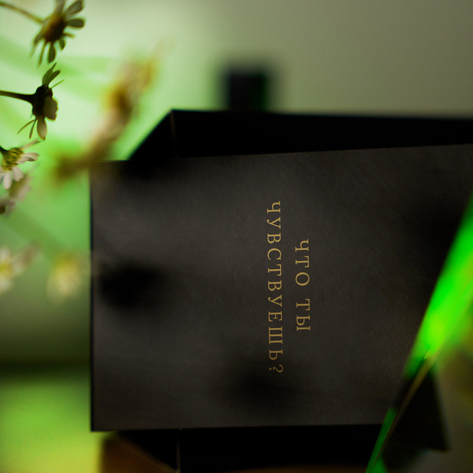 картинка Духи Empire Zone Chypre от Zone